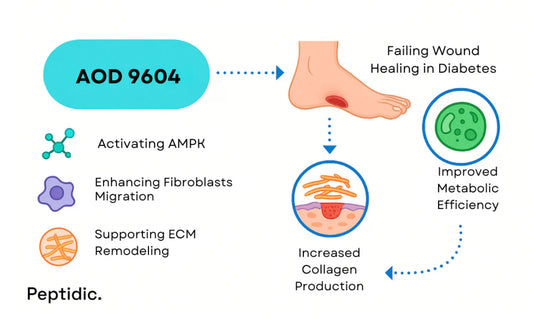 Can AOD Accelerate Healing in Diabetic Foot Ulcers and Wound Repair?