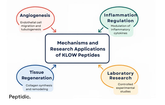 What Scientific Evidence Supports KLOW Peptides in Angiogenesis and Regeneration?