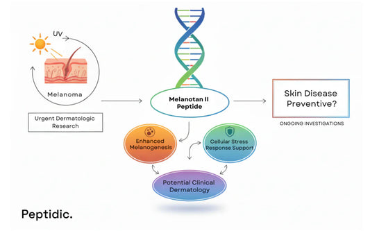 What Does Science Say About Melanotan II as a Skin Disease Preventive?