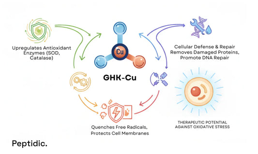 What Studies Prove GHK-Cu’s Therapeutic Potential Against Oxidative Stress?