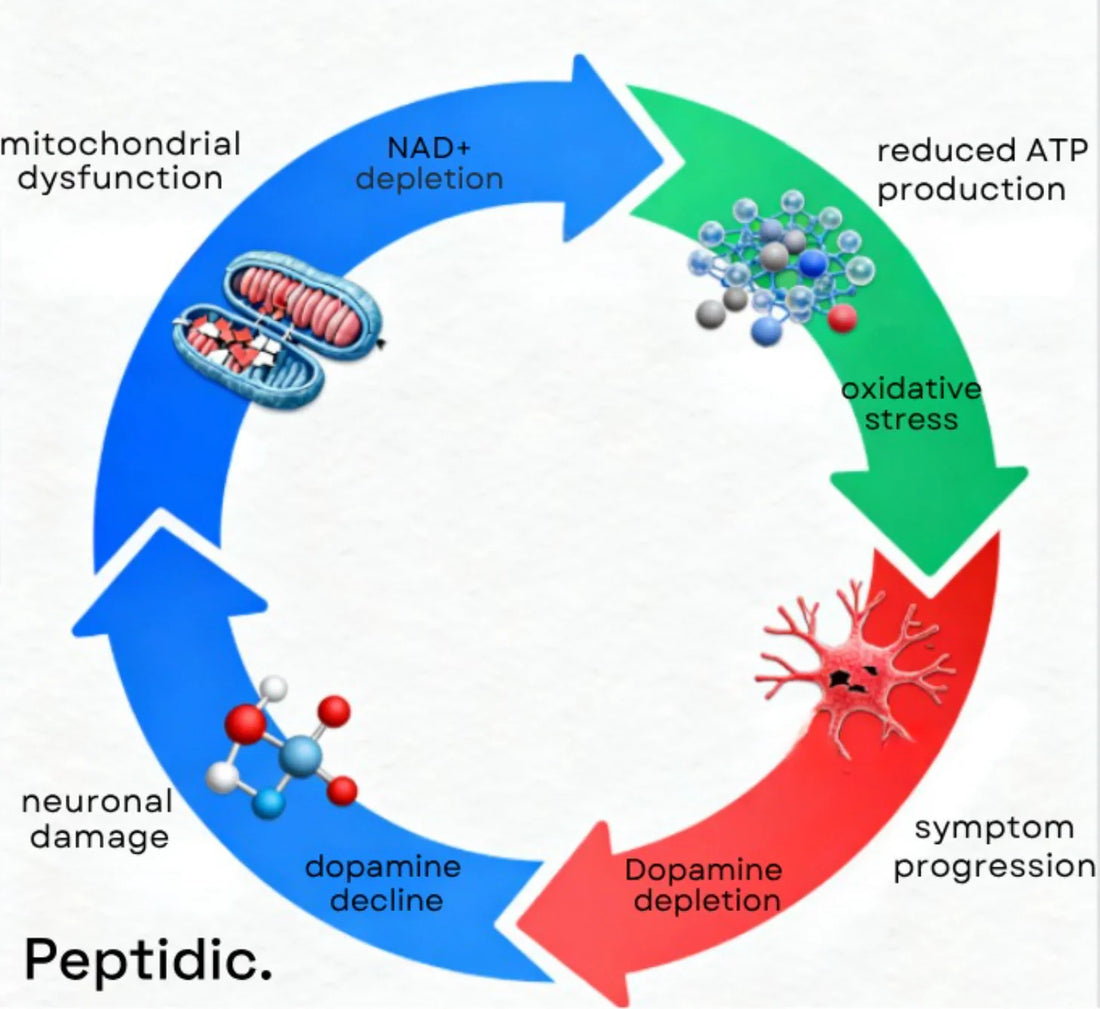 How Does NAD+ Deficiency Affect the Progression of Parkinson’s Disease?