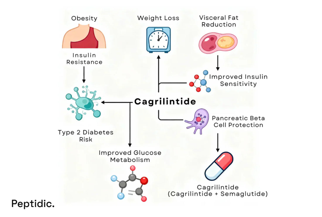 Is Cagrilintide Effective in Reducing Diabetes Risk for Vulnerable Individuals?