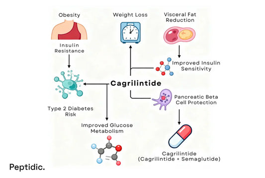Is Cagrilintide Effective in Reducing Diabetes Risk for Vulnerable Individuals?