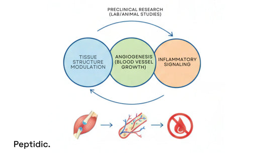 What Scientific Evidence Shows BPC-157 Effectively Heals Musculoskeletal Injuries?