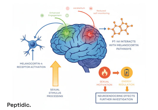 How Does PT-141 Affect Neuroendocrine Pathways to Improve Libido and Energy?