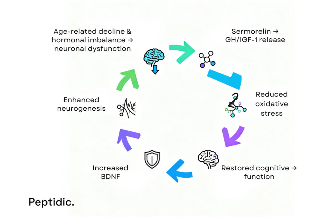 The Role of Sermorelin in Supporting Cognitive Health During Neurodegeneration
