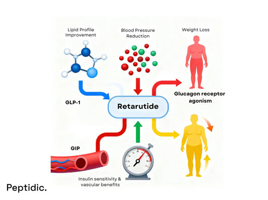 How Does Retatrutide Influence Cardiovascular Risk Factors?