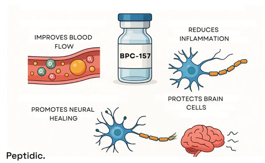 Is BPC-157 Aid in Nerve Repair and Cognitive Support?